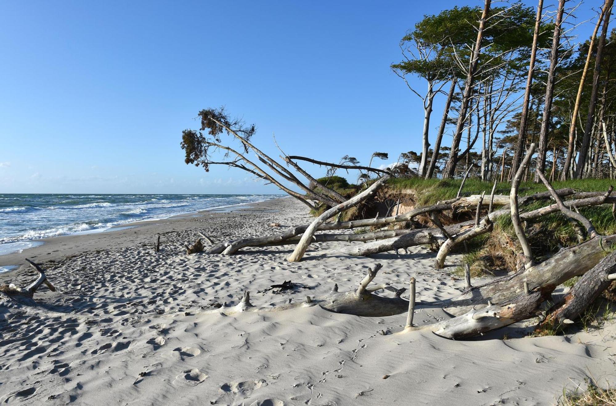 Apartment Heymat An Der Seebruecke Zingst Ngoại thất bức ảnh