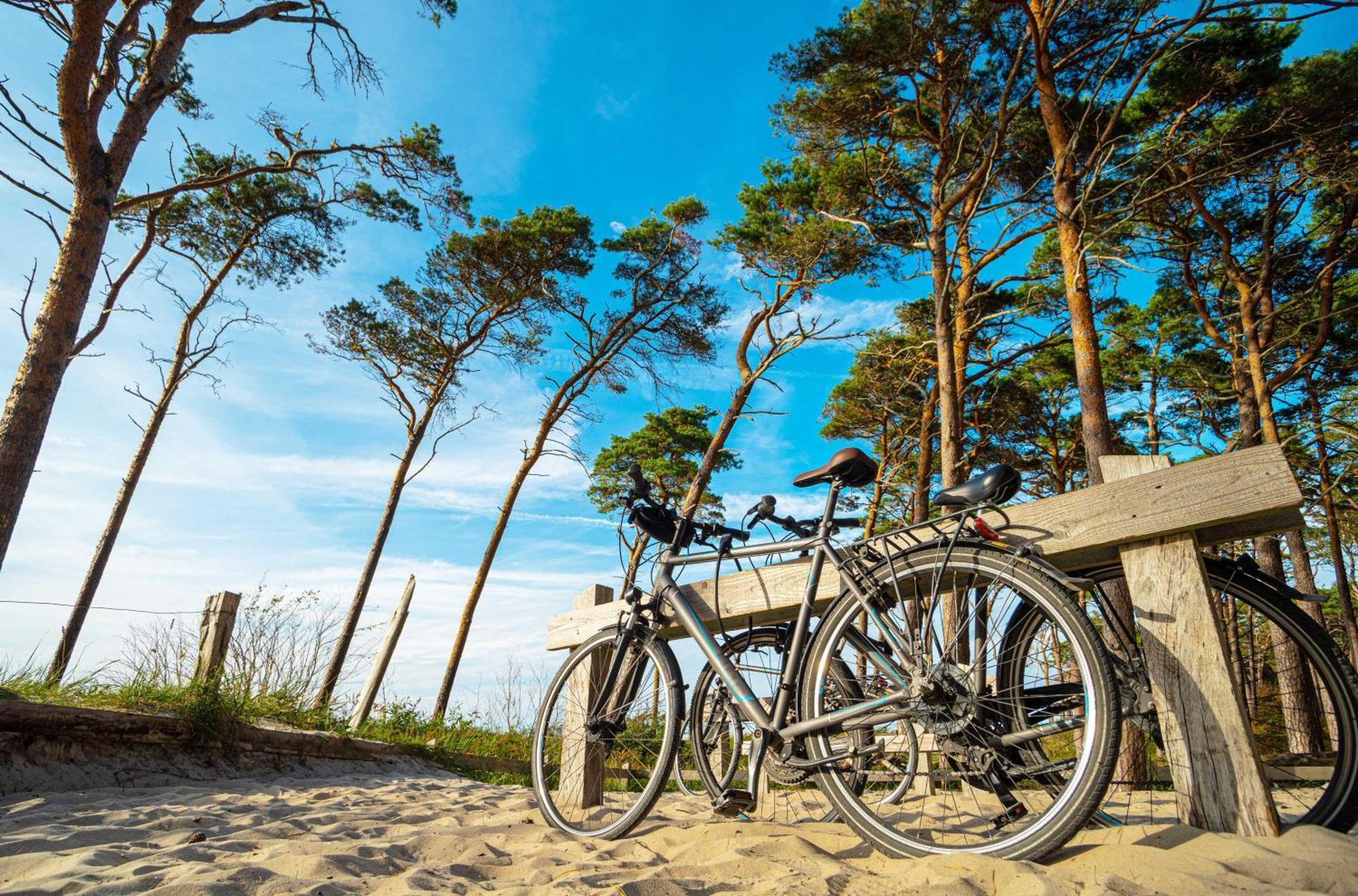 Apartment Heymat An Der Seebruecke Zingst Ngoại thất bức ảnh