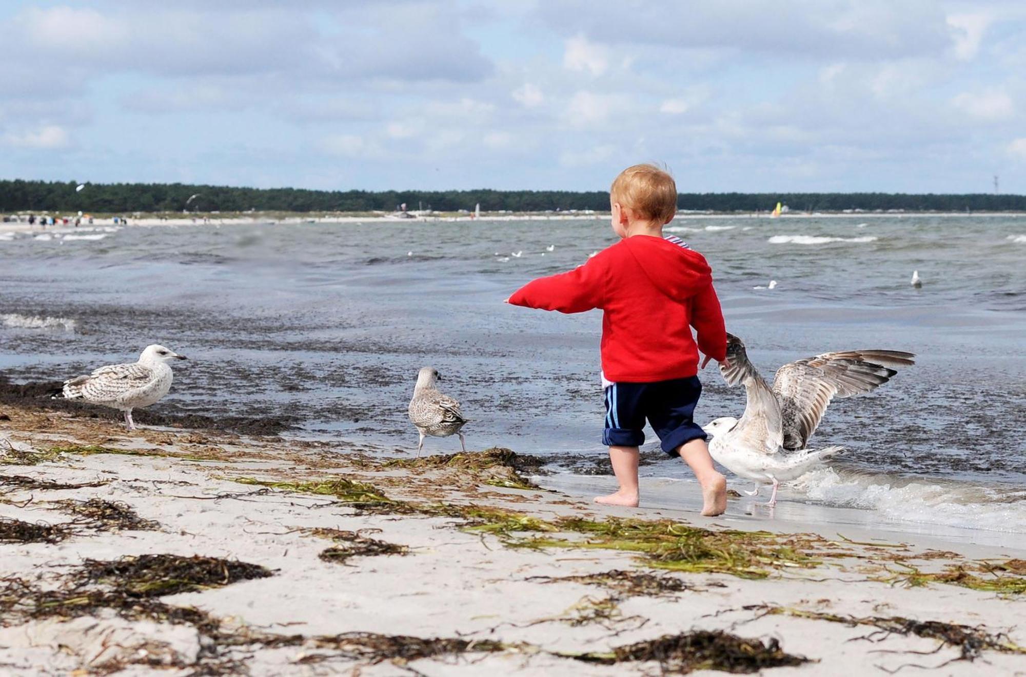 Apartment Heymat An Der Seebruecke Zingst Ngoại thất bức ảnh